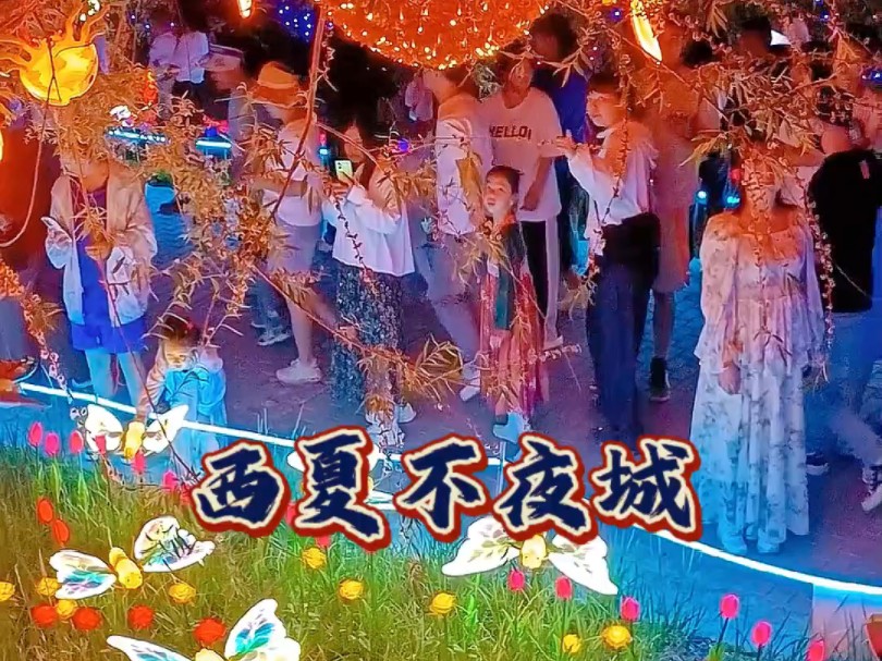 银川之夜ⷮŠ西夏风情园不夜城哔哩哔哩bilibili