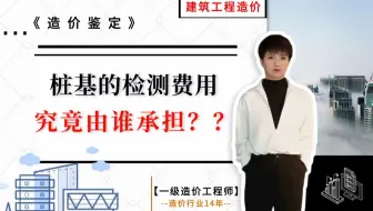 【工程造价干货】--桩基的检测费用究竟由谁承担？《造价鉴定》#建筑工程造价