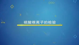 硫酸根离子的检验