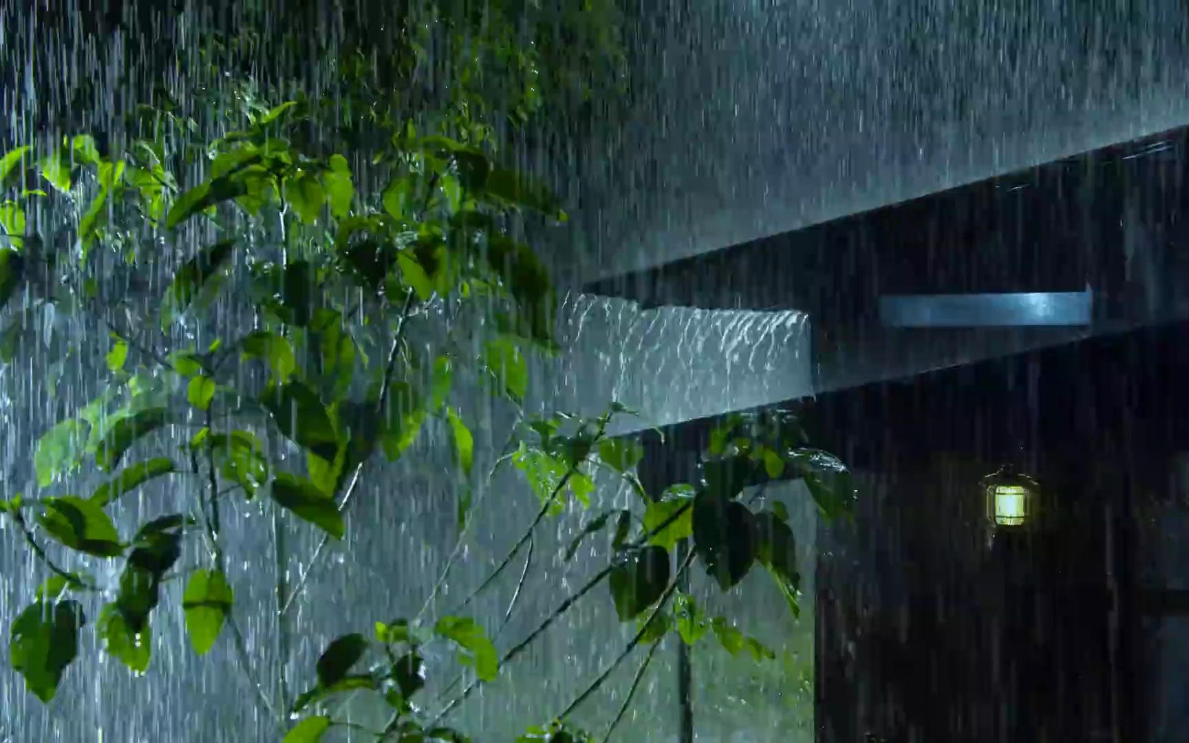 大雨和大雷声中的森林之家,在2分钟内快速入睡