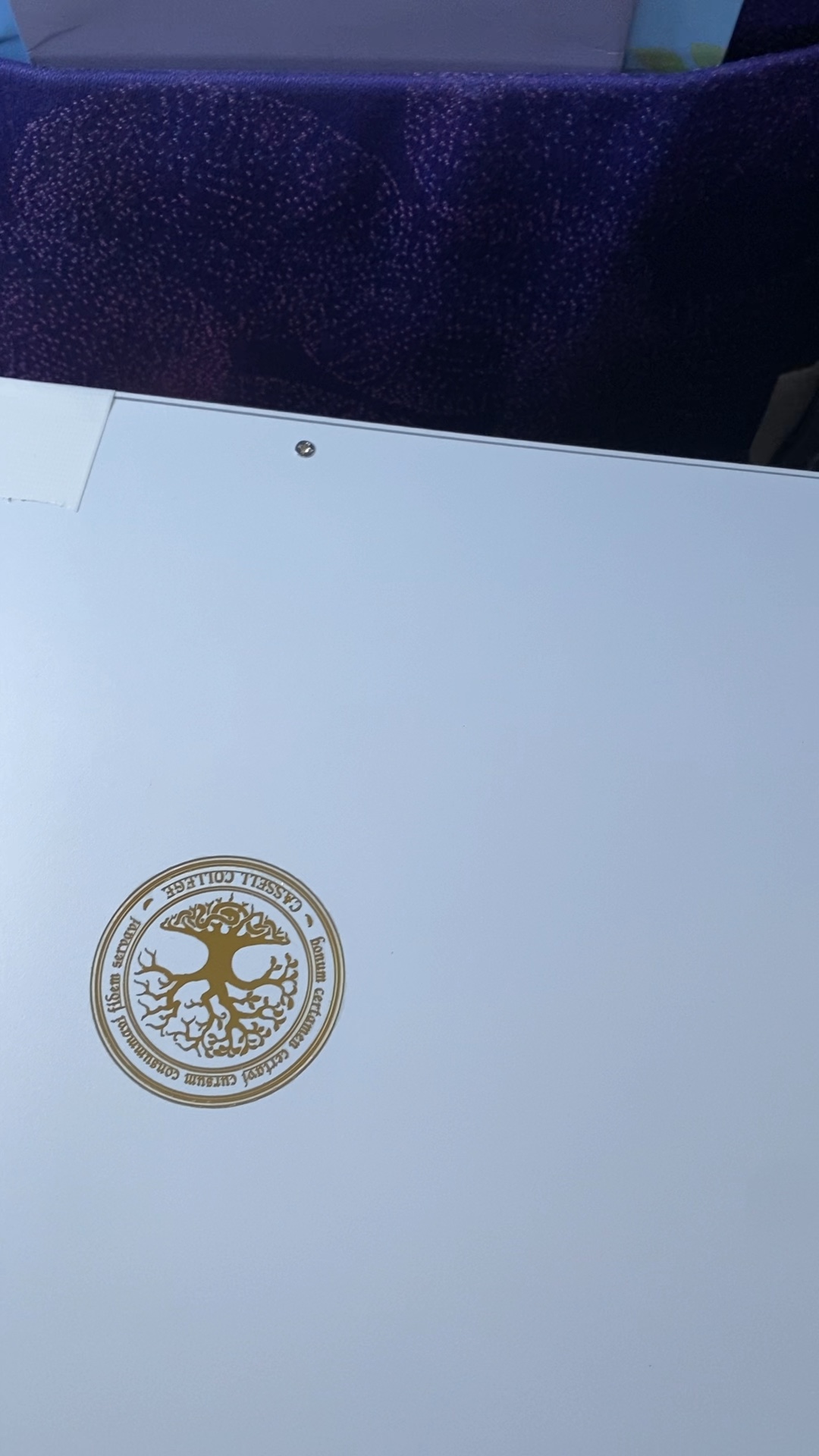 希望能平安归来.#北京 #龙族 #卡塞尔学院 #执行部 #危险任务 #愿平安