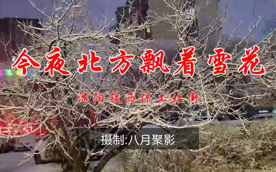 [图]一首《今夜北方飘着雪花》唱出浓浓的思念！