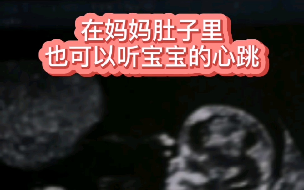 宝宝在妈妈肚子里的心跳是什么声音,万万没想到…哔哩哔哩bilibili