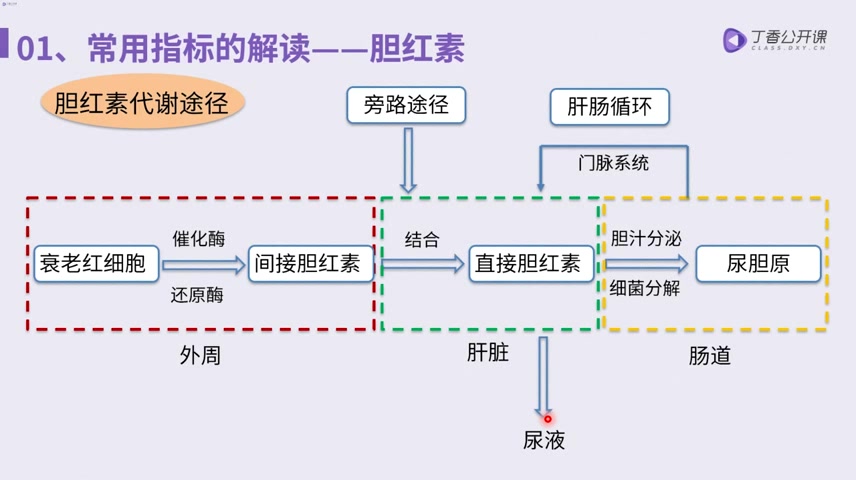 [图]肝功能异常诊治误区