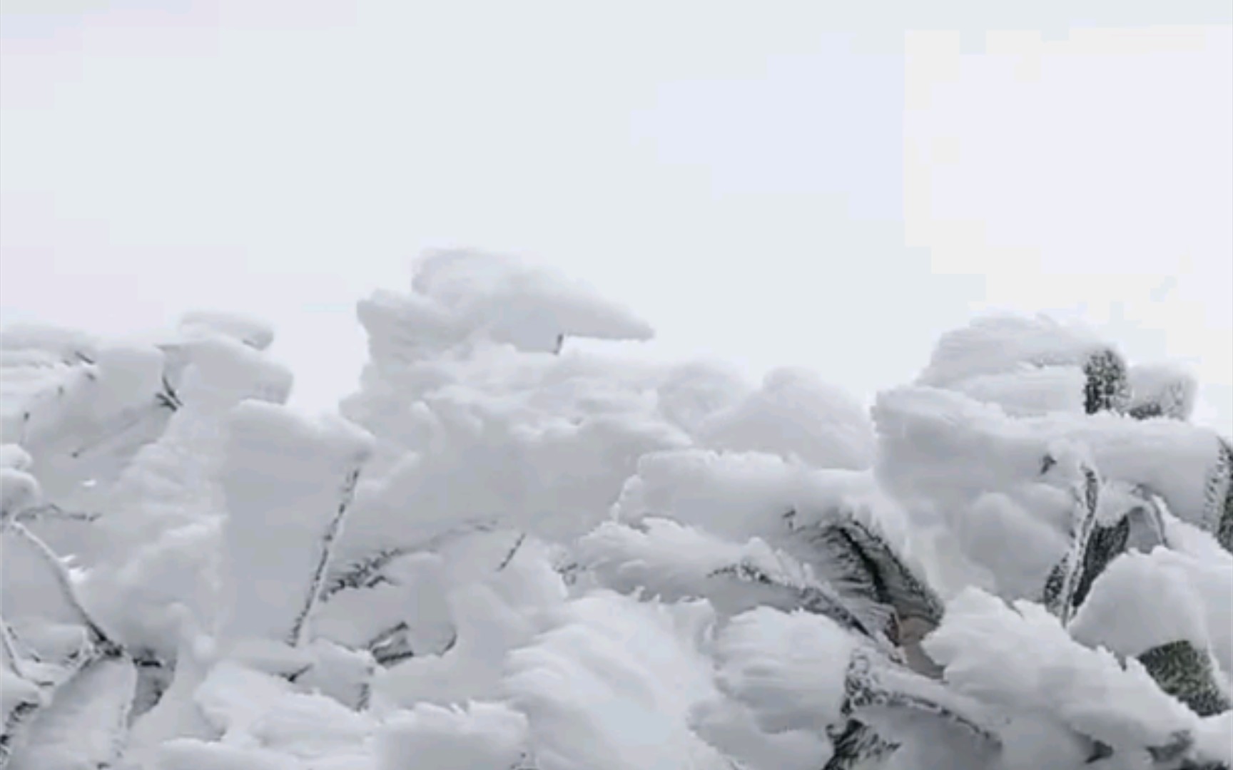 川舞银蛇,原驰蜡象,瑞雪兆丰年.哔哩哔哩bilibili