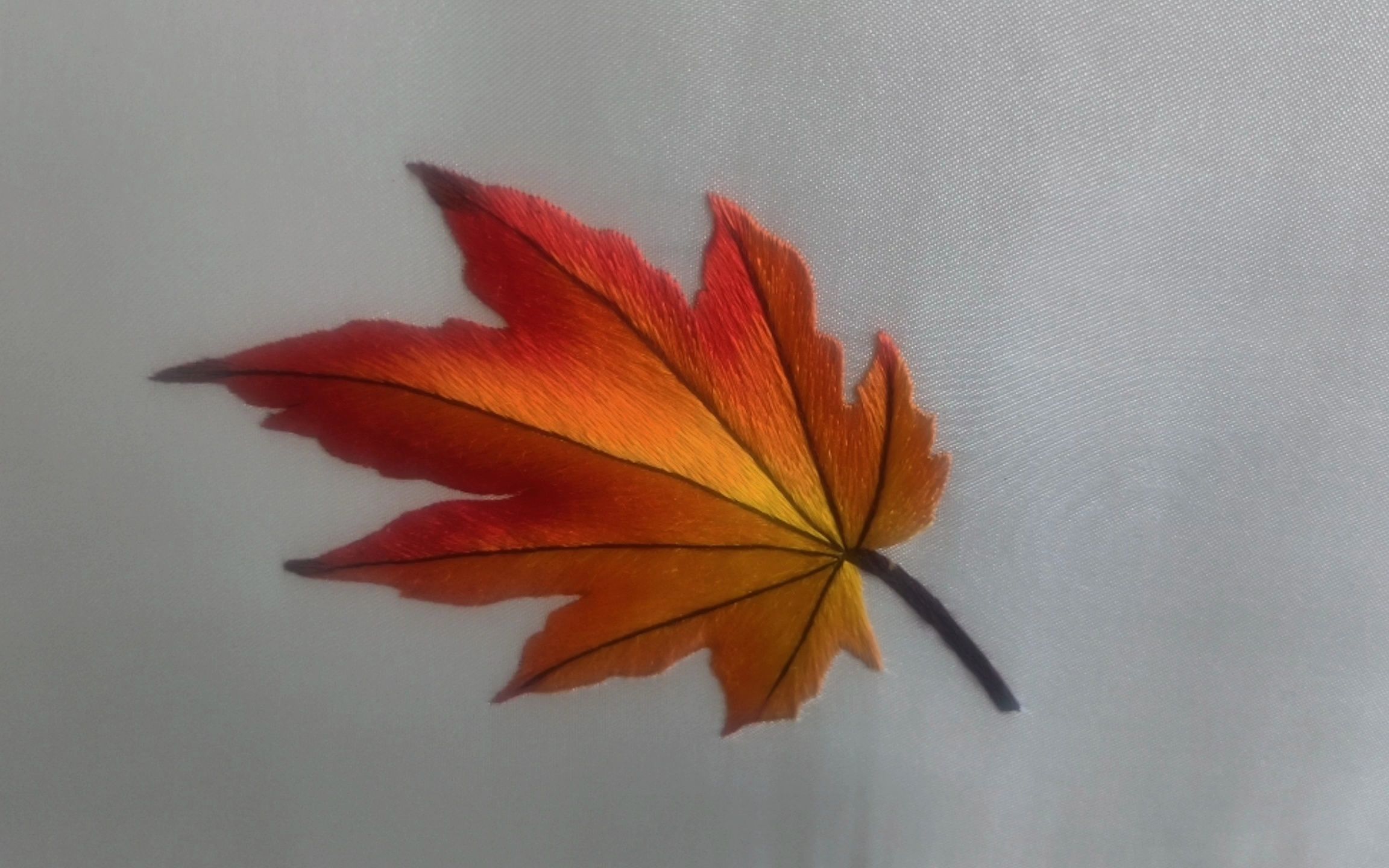 你相信吗?绣一片枫叶居然要一天时间