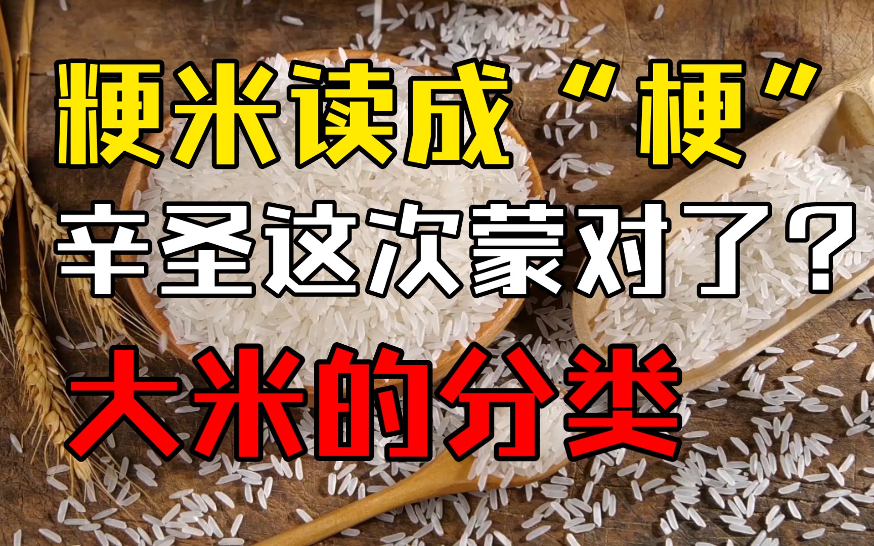 【粳稻】粳米读成梗米?这次可能被辛圣蒙对了哔哩哔哩bilibili