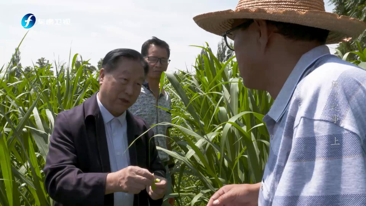 他就是《山海情》凌一农的原型,如今他仍心念闽