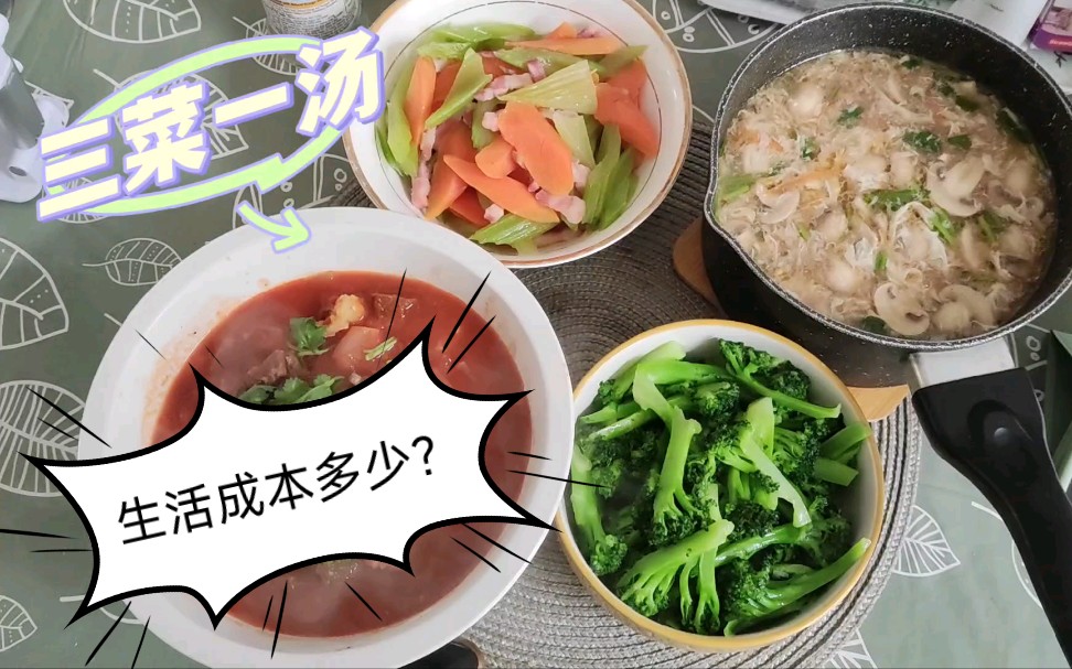 英国油价和能源价格猛涨!留学成本上升!自己做饭能省多少?七英镑能做三菜一汤嘛?哔哩哔哩bilibili