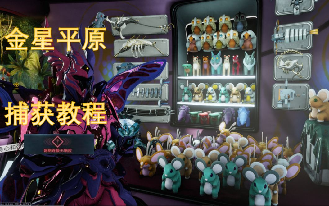 [warframe]金星小动物捕获教学,萌新速成班开课了!_哔哩哔哩_bilibili