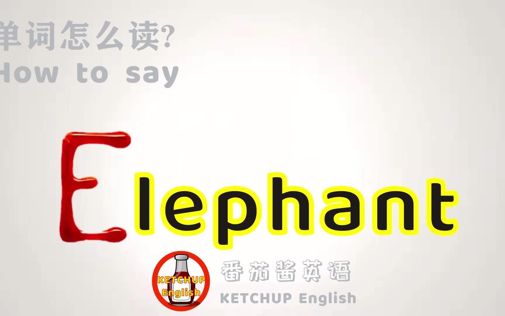 外教发音|How To Pronounce Elephant【大象】怎么读?|每天学单词背单词哔哩哔哩bilibili