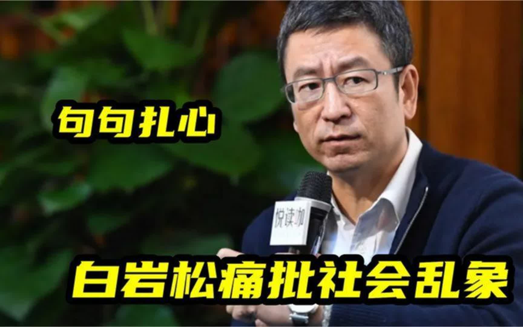 白岩松痛批社会乱象,一针见血指出根本问题,真是太敢说了!