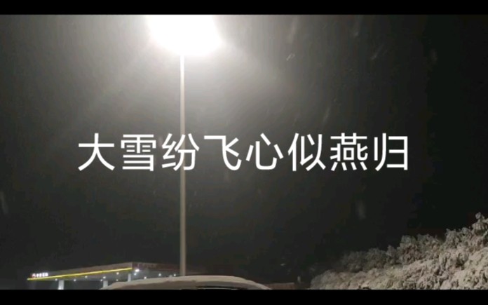 [图]大雪纷飞燕归来