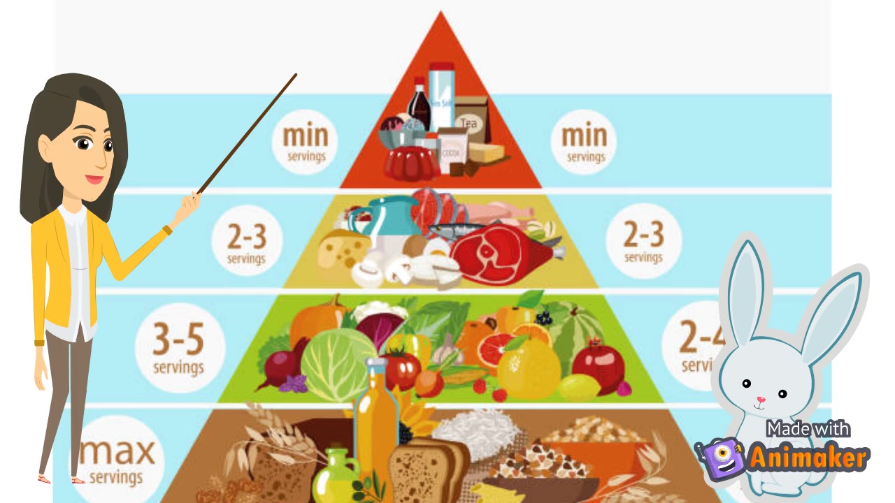 [图]Health - The Food Pyramid 健康之食物金字塔