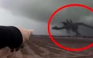 巨大生物 搜索结果 哔哩哔哩弹幕视频网 つロ乾杯 Bilibili