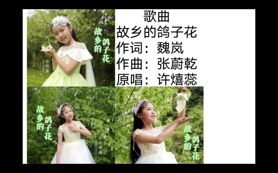 [图]许熺蕊-故乡的鸽子花(原唱MV)