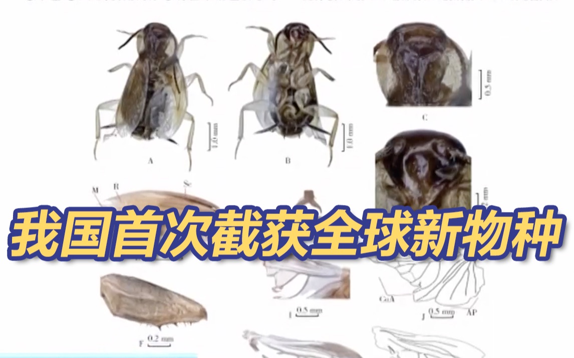 [图]我国首次截获全球新物种