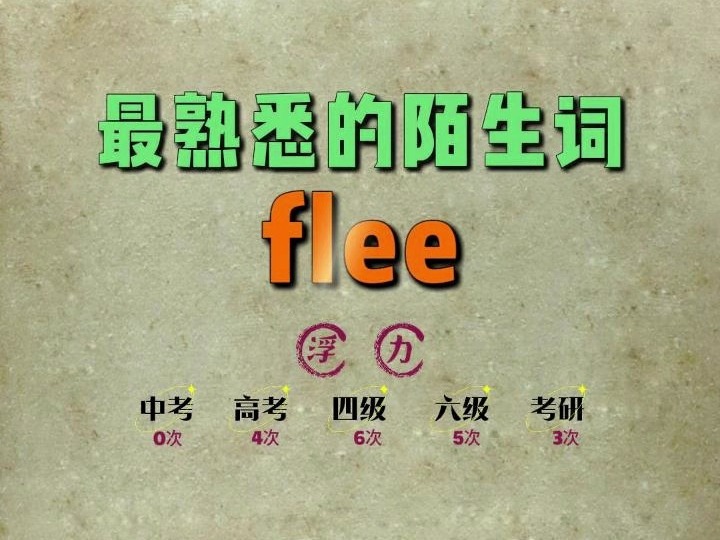 一秒速记高频单词:flee哔哩哔哩bilibili