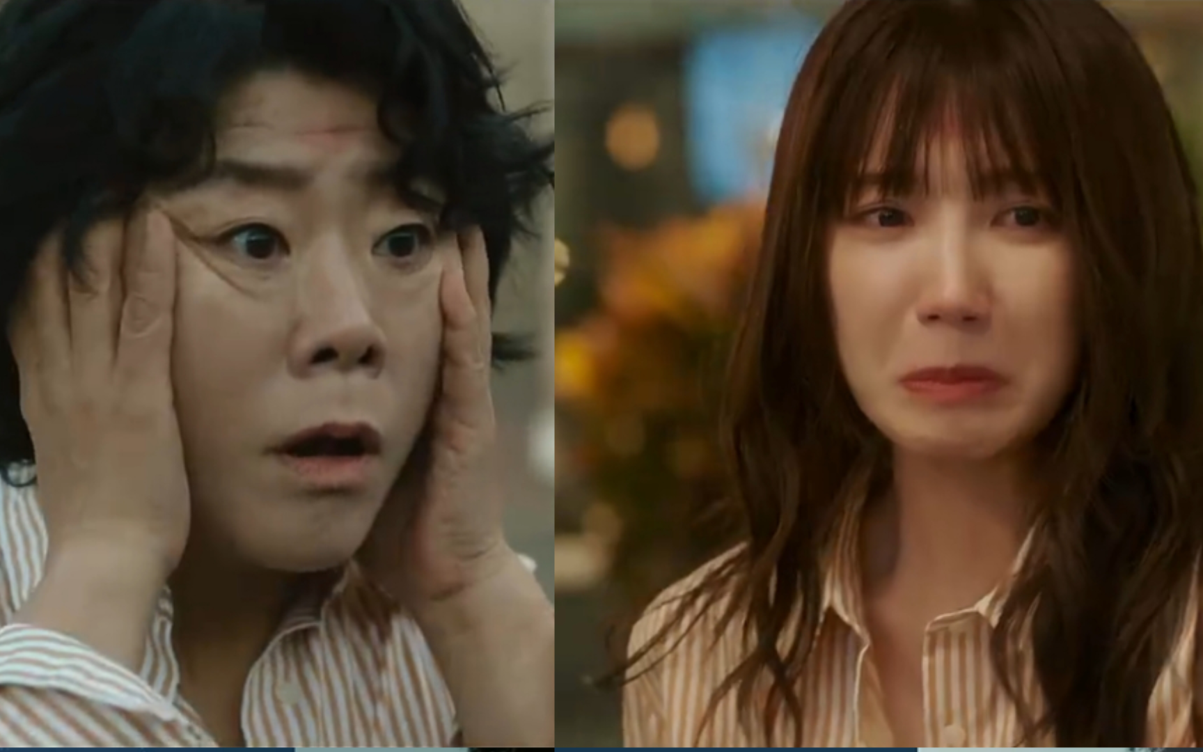 女孩遇见一只猫,白天变成大婶,晚上变回女孩!【她的日与夜】