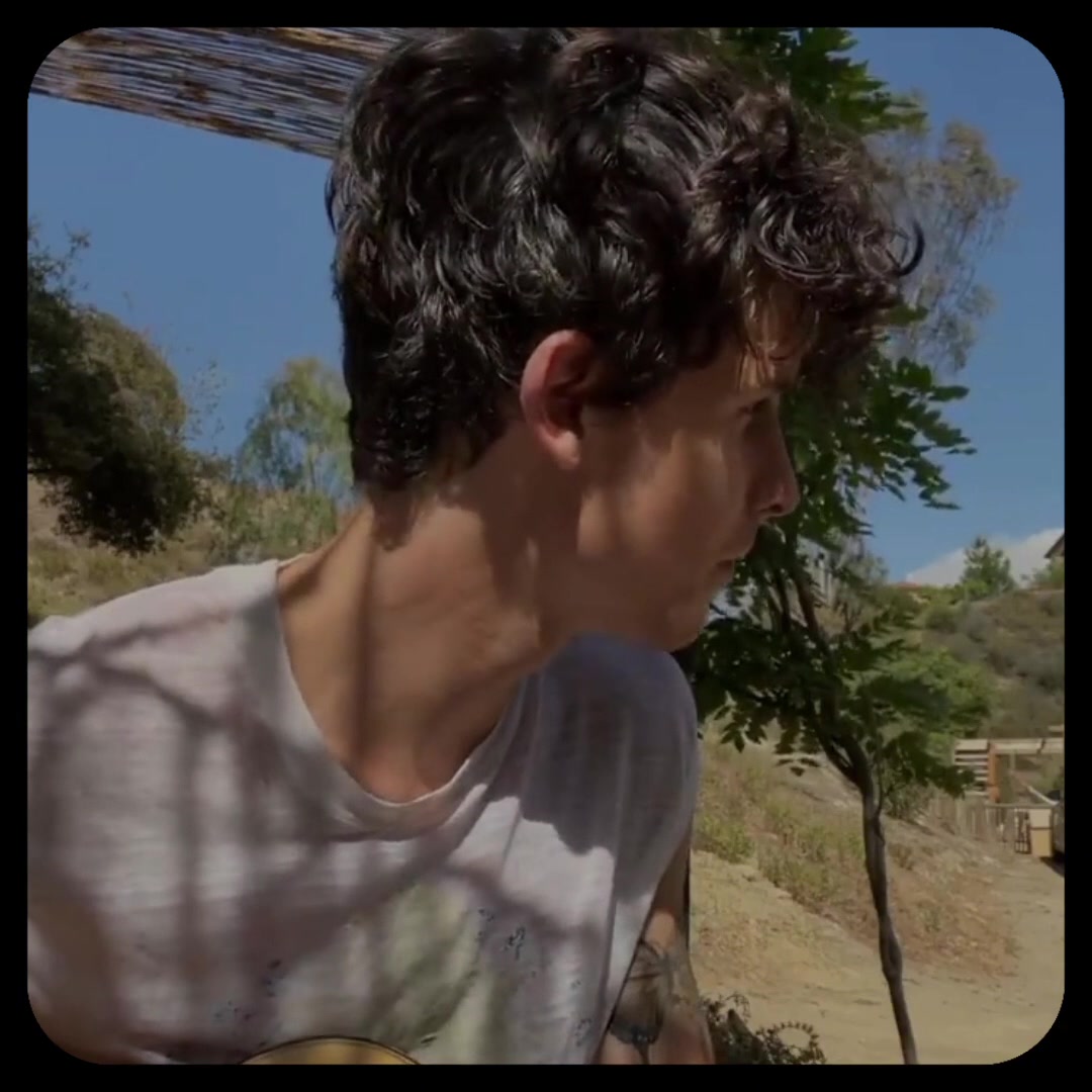 shawnmendes #shawniewhy