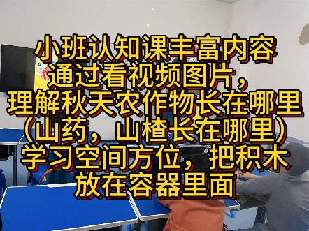 天津发育迟缓康复训练中心 认知能力提升 天津拓慧 拓慧康复中心 拓慧集体班融合教育 提升认知语言 提高思维理解力 提升语言表达能力哔哩哔哩bilibili