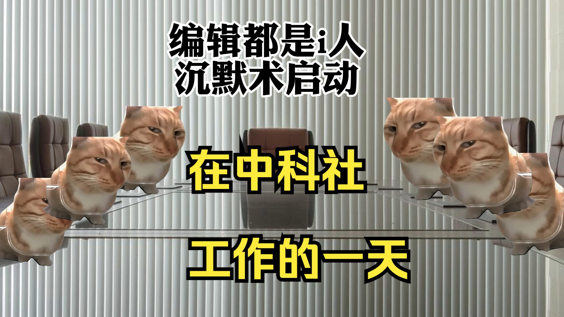 在中国科学技术出版社工作的一天【猫meme】哔哩哔哩bilibili