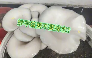 Download Video: 炒平菇要不要焯水？我来告诉你。