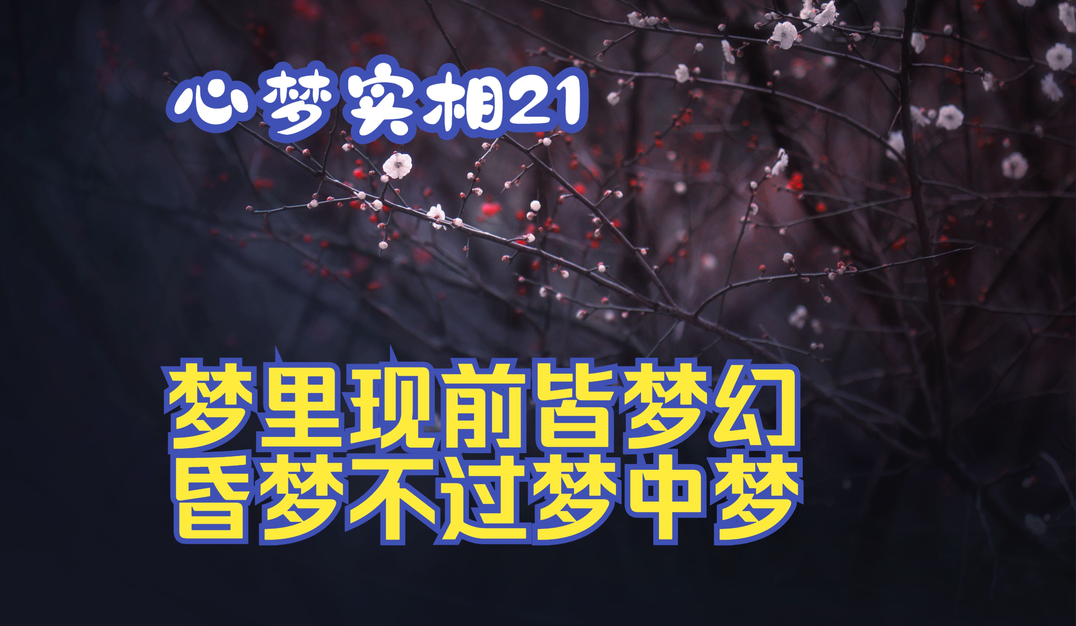 【心梦实相21】梦里现前皆梦幻,昏梦不过梦中梦哔哩哔哩bilibili