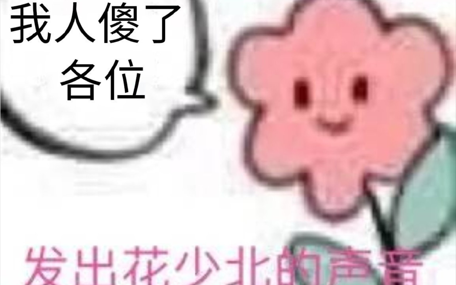 【花少北】花老师的传奇人生哔哩哔哩bilibili