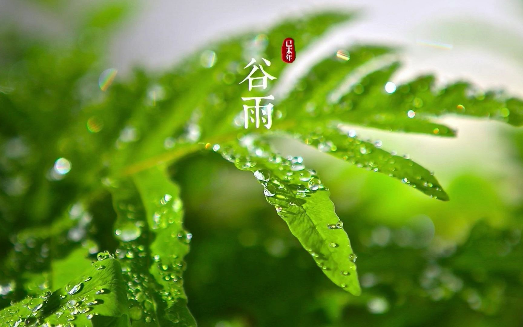 [图]谷雨 （二十四节气之一）