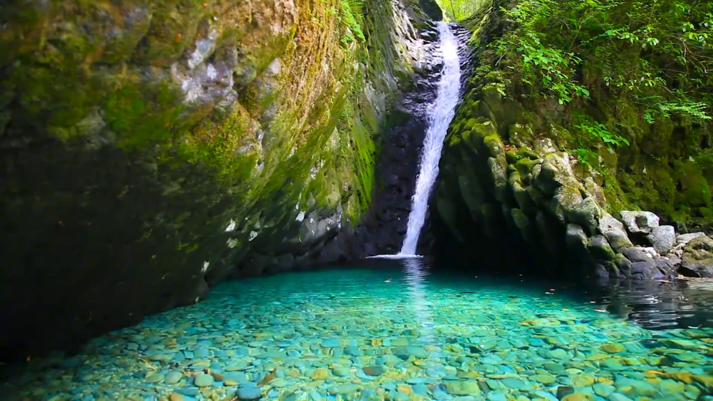 大自然的声音:瀑布流水声,虫鸣鸟叫,养心宁神,舒压助眠