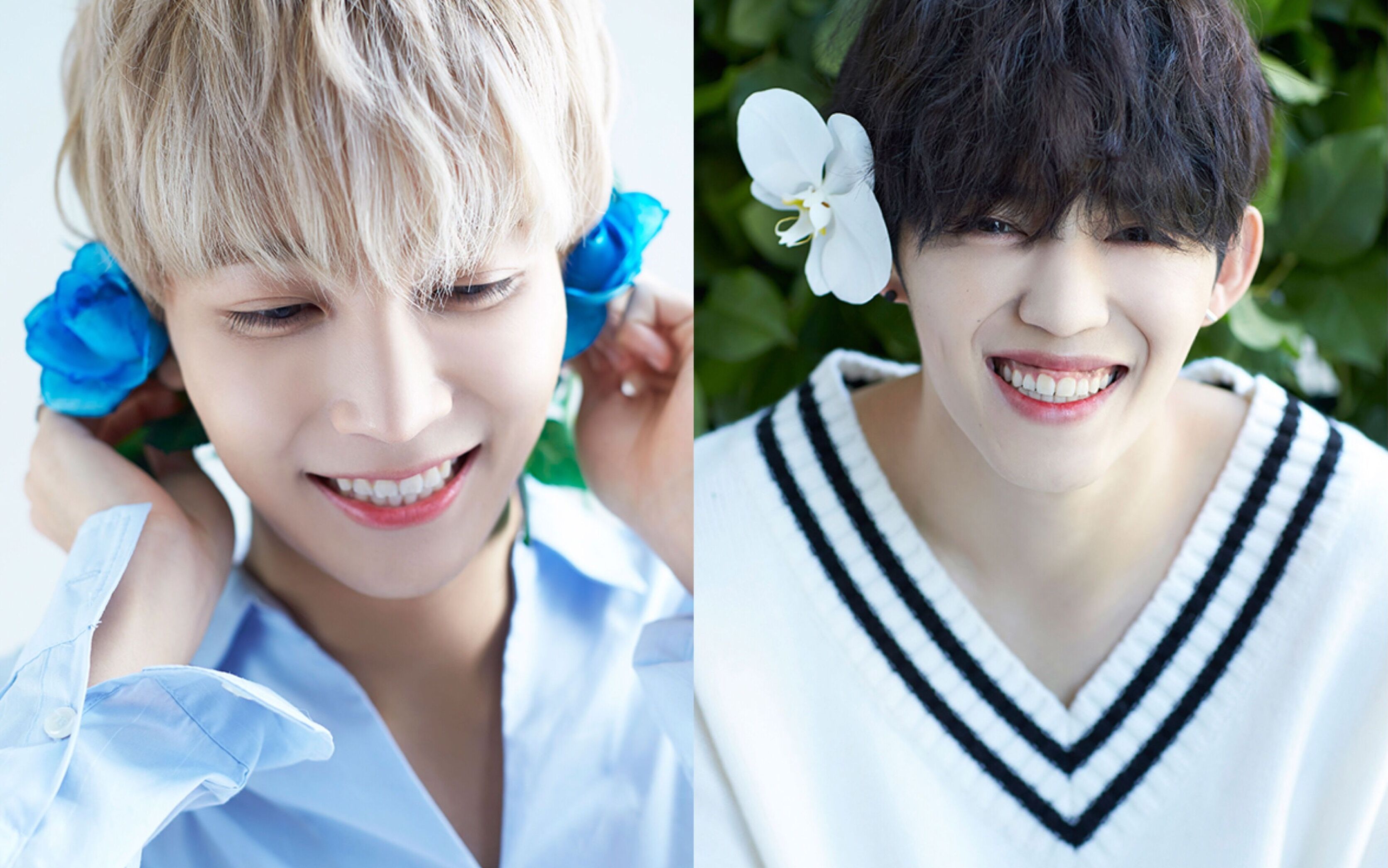 【澈汉-歌词向】你的星星都落到我头上