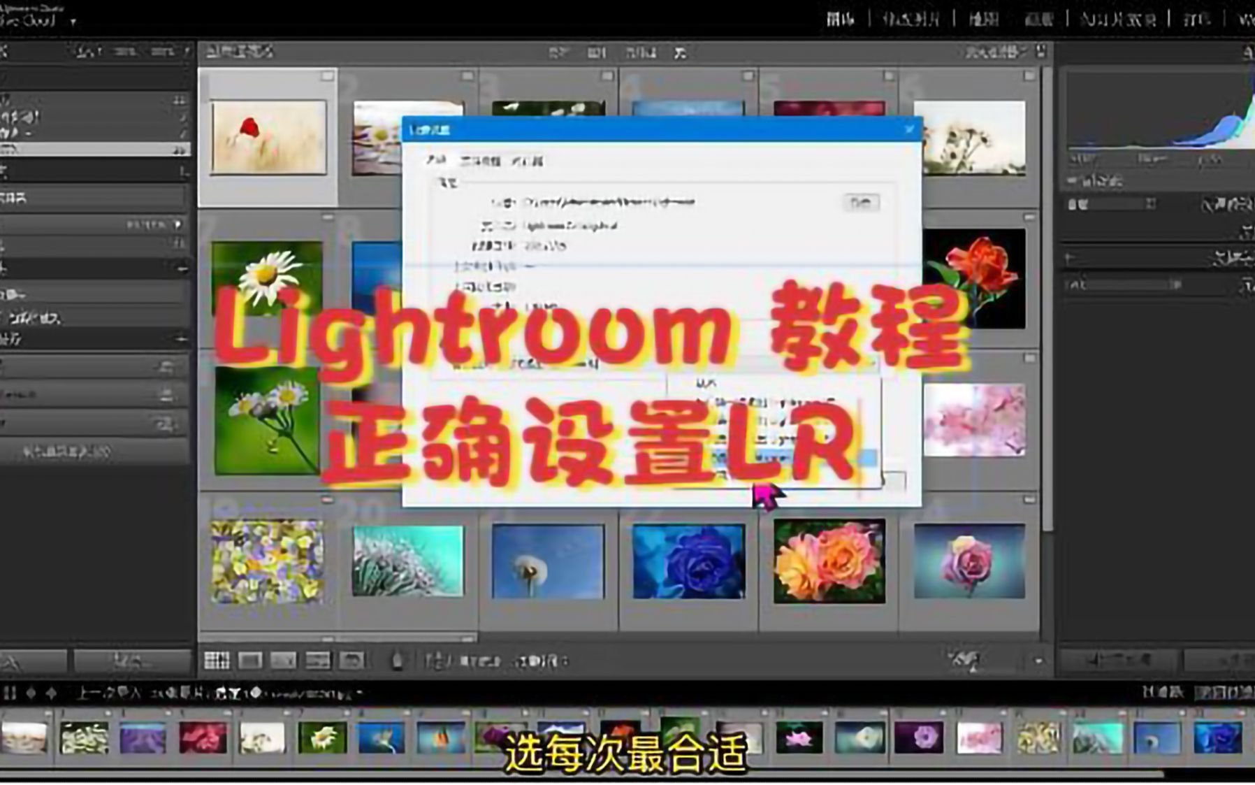 Lightroom 快速上手,设置LR,正确的设置有利于后期图片处理哔哩哔哩bilibili