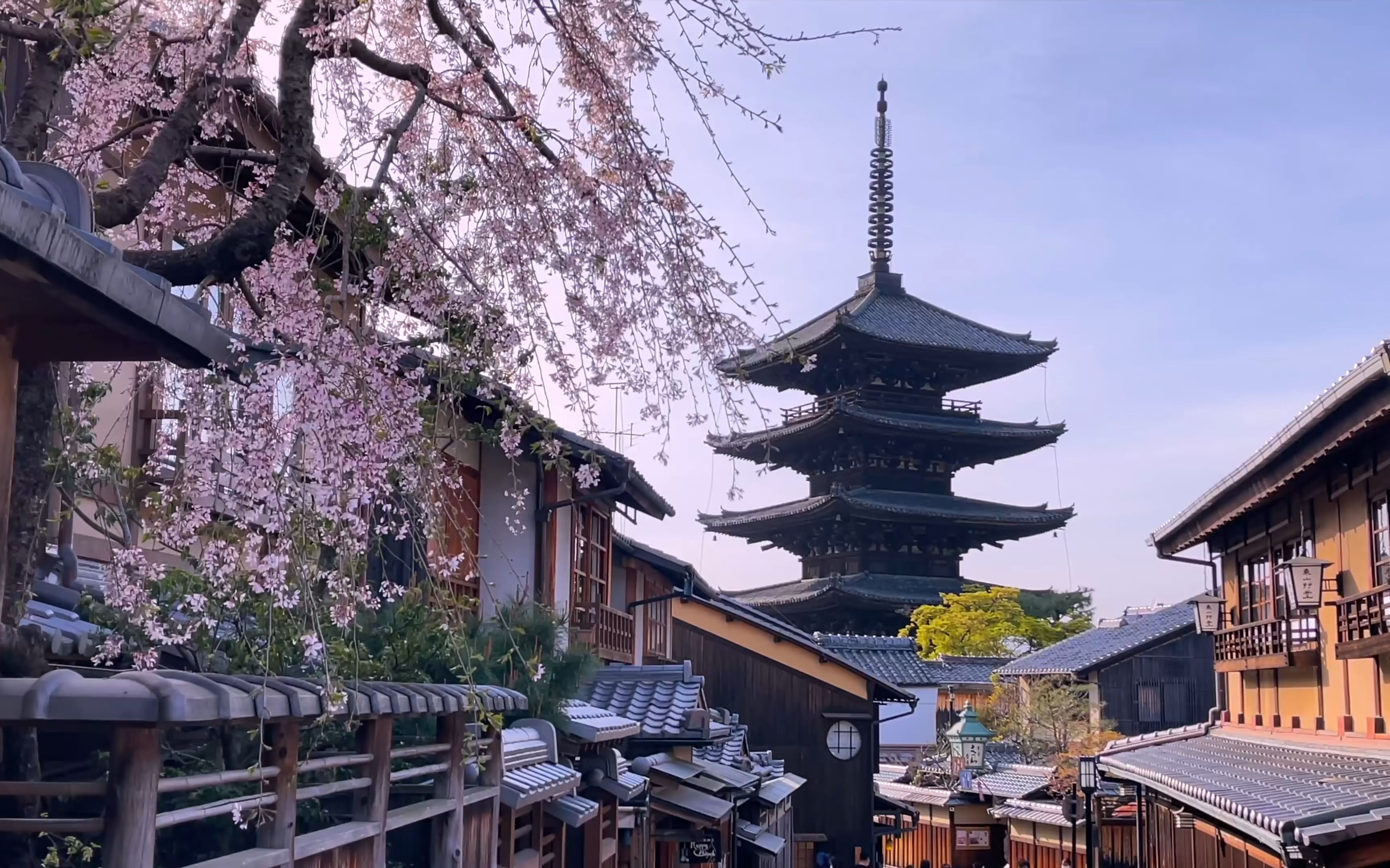 [图]云游世界 丨 日本漫步【4K超清】京都樱花盛开 赏花京都旅游指南~