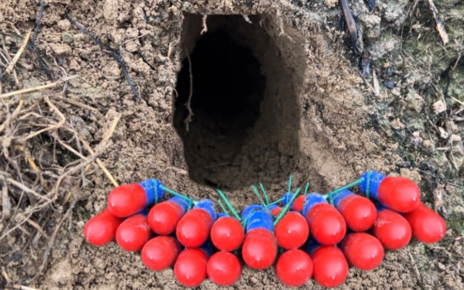 小伙拿"二踢脚"炸老鼠洞,让老鼠尝尝鞭炮的厉害,这下可惨了