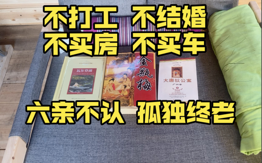 不打工 不结婚 不买房 不买车,不被世俗裹挟,不在尘世中挣扎,从过年到现在我舅我姨我姐我弟我都还没见过面,远亲更不用说了.哔哩哔哩bilibili