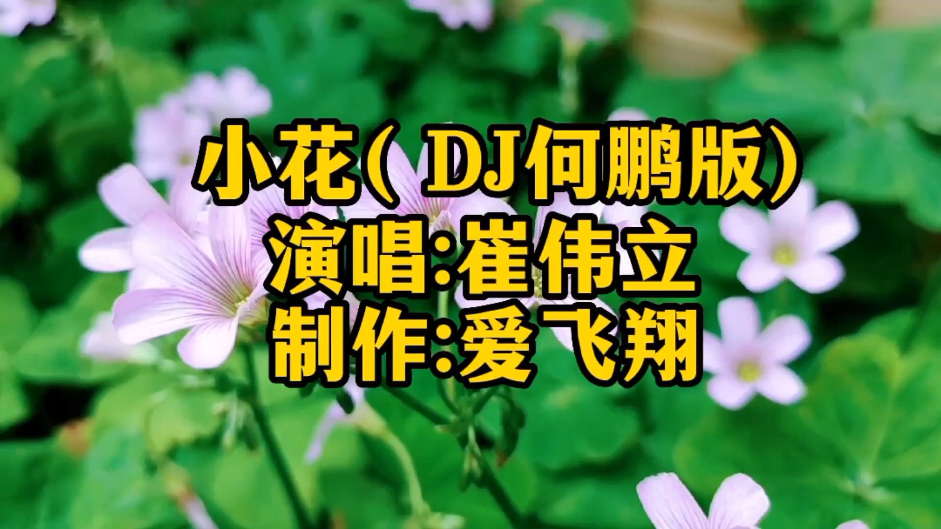 [图]崔伟立一首《小花（DJ何鹏版）》经典老歌，好听极了