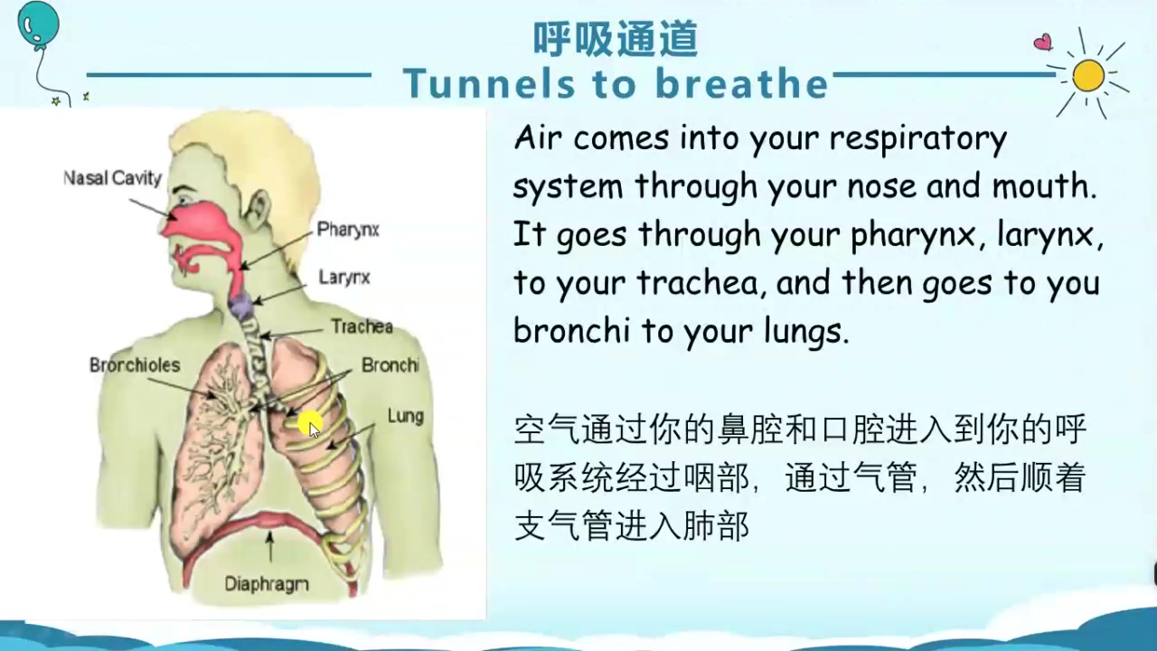 [图]自由呼吸1-2