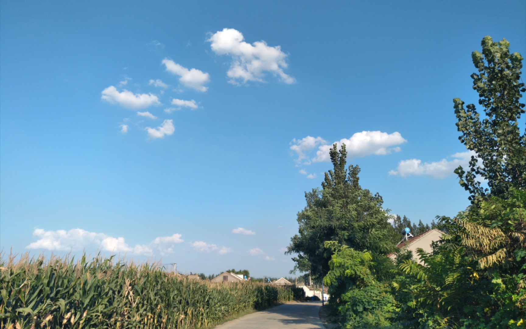 秋高气爽的乡村美景