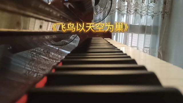 飞鸟以天空为巢简谱图片