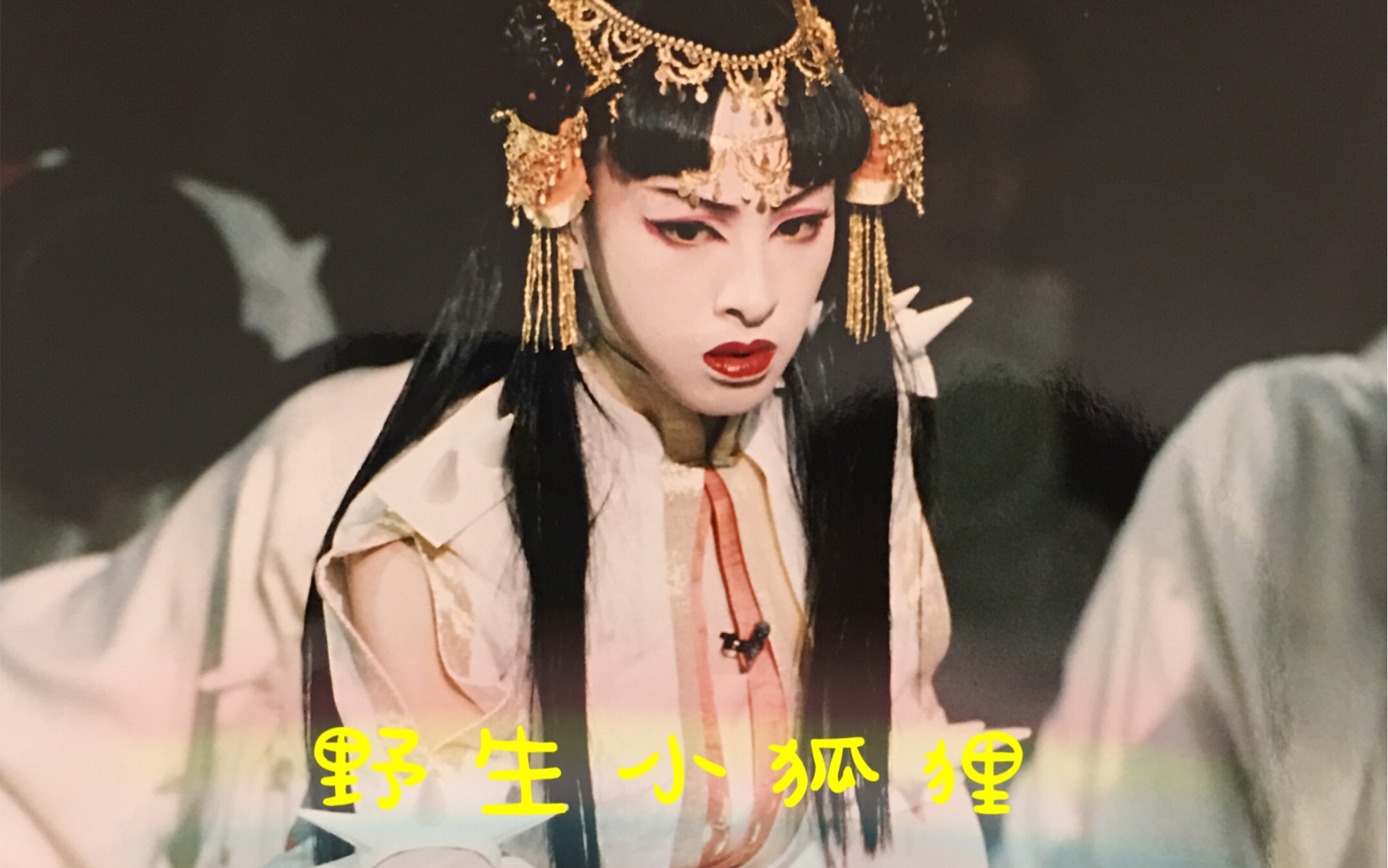 【创国之魁】安能辨我是雄雌之野生小狐狸 音月桂.cut