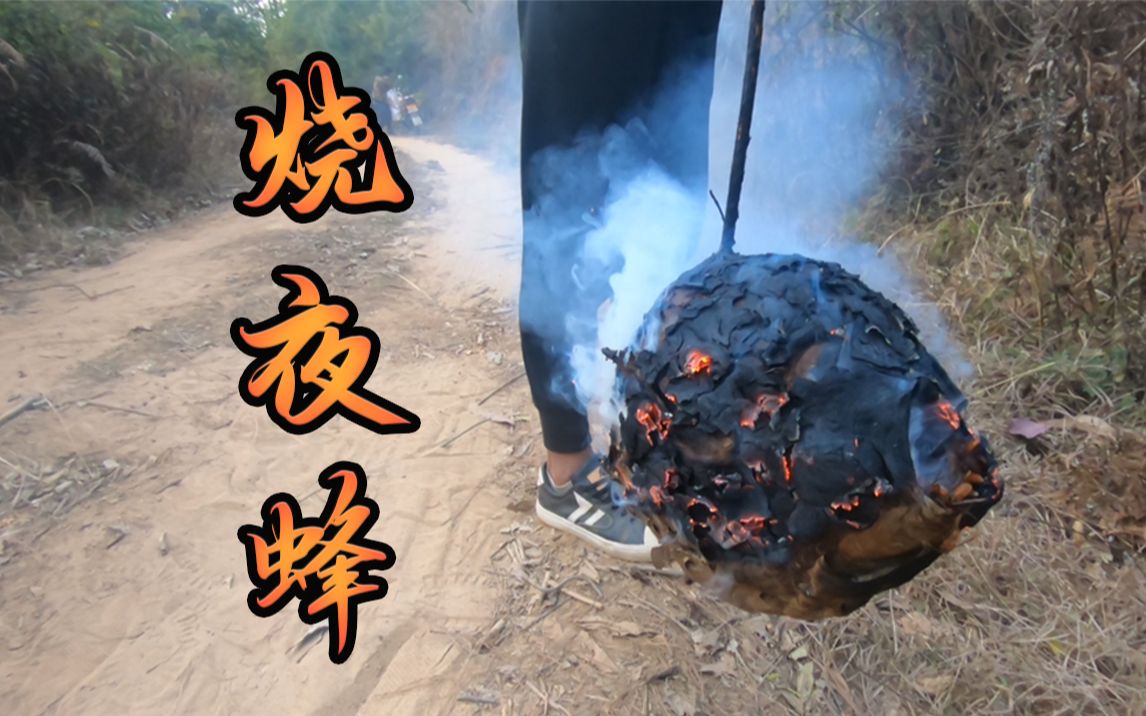 吃鸡回家途中遇夜蜂,幼蜂成蜂一锅端了回家炒着吃_哔哩哔哩 (゜-゜)つ