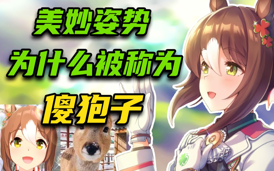 【马娘梗】美妙姿势为什么被称为傻狍子?哔哩哔哩bilibili