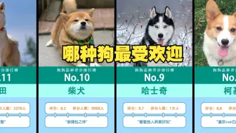 Download Video: 【虎扑锐评】狗狗评分排行榜，泰迪为啥那么多人讨厌？