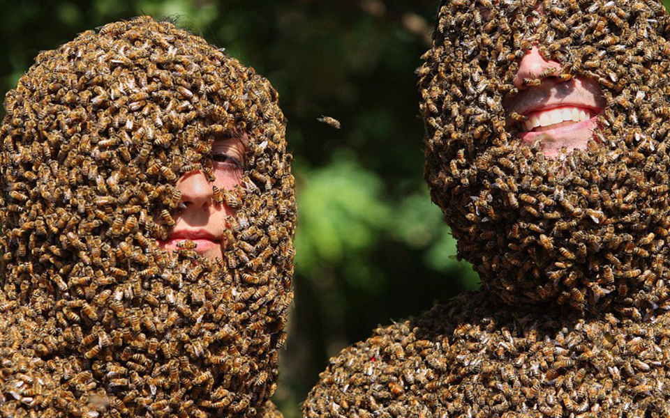 印度养蜂男子,每天要被蛰300下,竟然还能挺住?