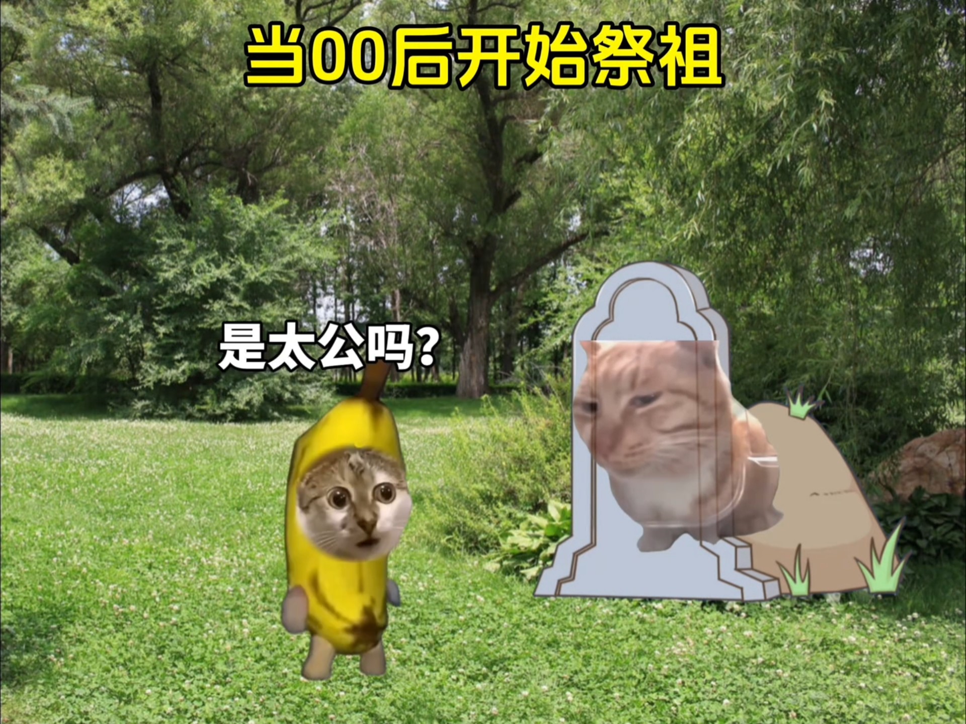 当00后开始祭祖