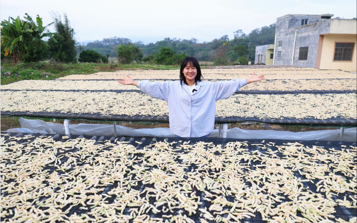 阿渔妹和村民晒制,500斤的菜果干,网友收到纷纷表示非常好吃哔哩哔哩bilibili