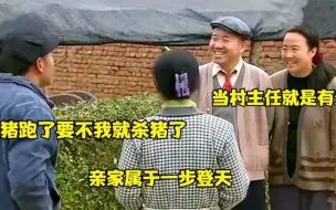 Video herunterladen: 刘能当副村主任到处显摆，赵四特地杀鸡祝贺，广坤被气得卧病在床