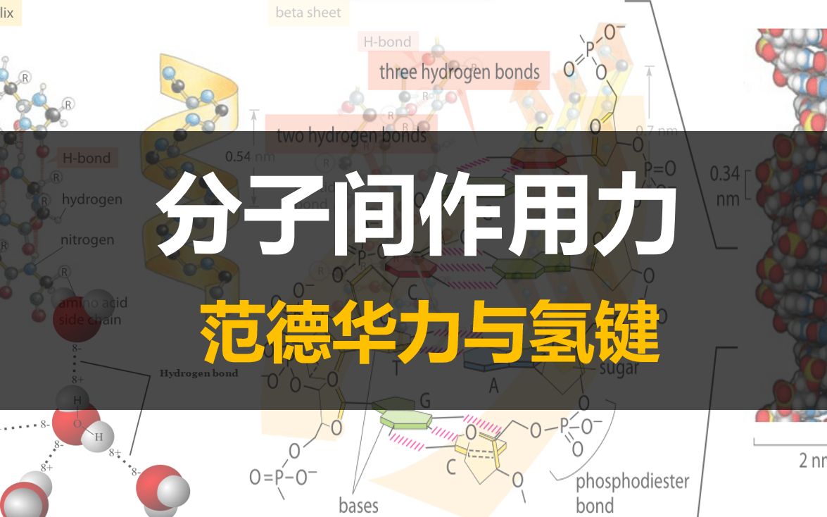 【物质结构与性质】分子间作用力氢键与范德华力哔哩哔哩bilibili