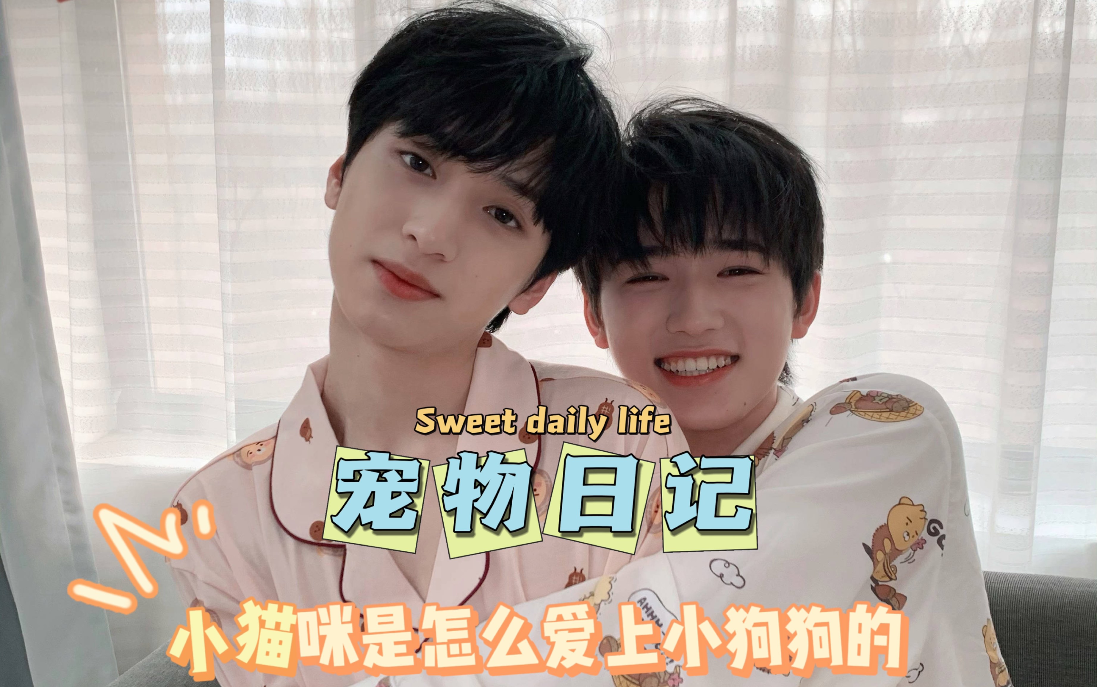 【银河系闪耀星|翔轩】宠物日记:口嫌体直小香猫x奶呼呼萨摩亚_哔哩